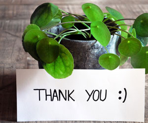 Thank you